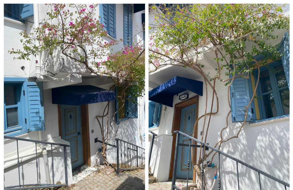 Tinton's House by Şaman.png