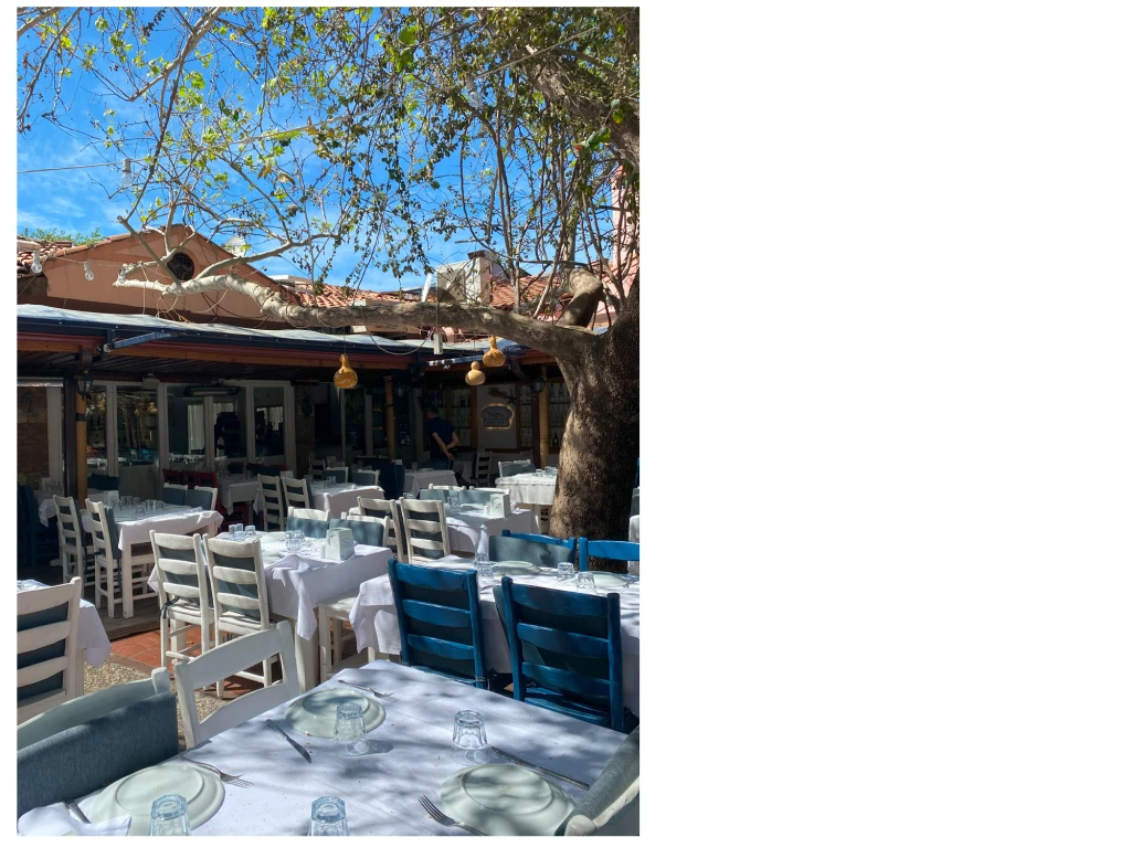 Ресторан Hilmi Restaurant.png