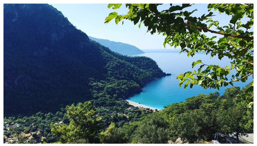 Kabak Koyu.png